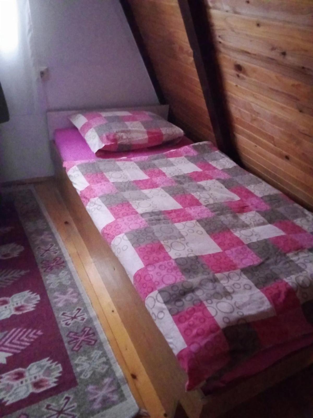 Planinska Kuca Dusan Mitrovac Exterior photo